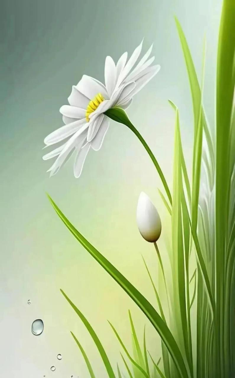 你有没有留意到，
身边不少退了休的女性，
日子过得安静又规律——
出门无非是买菜