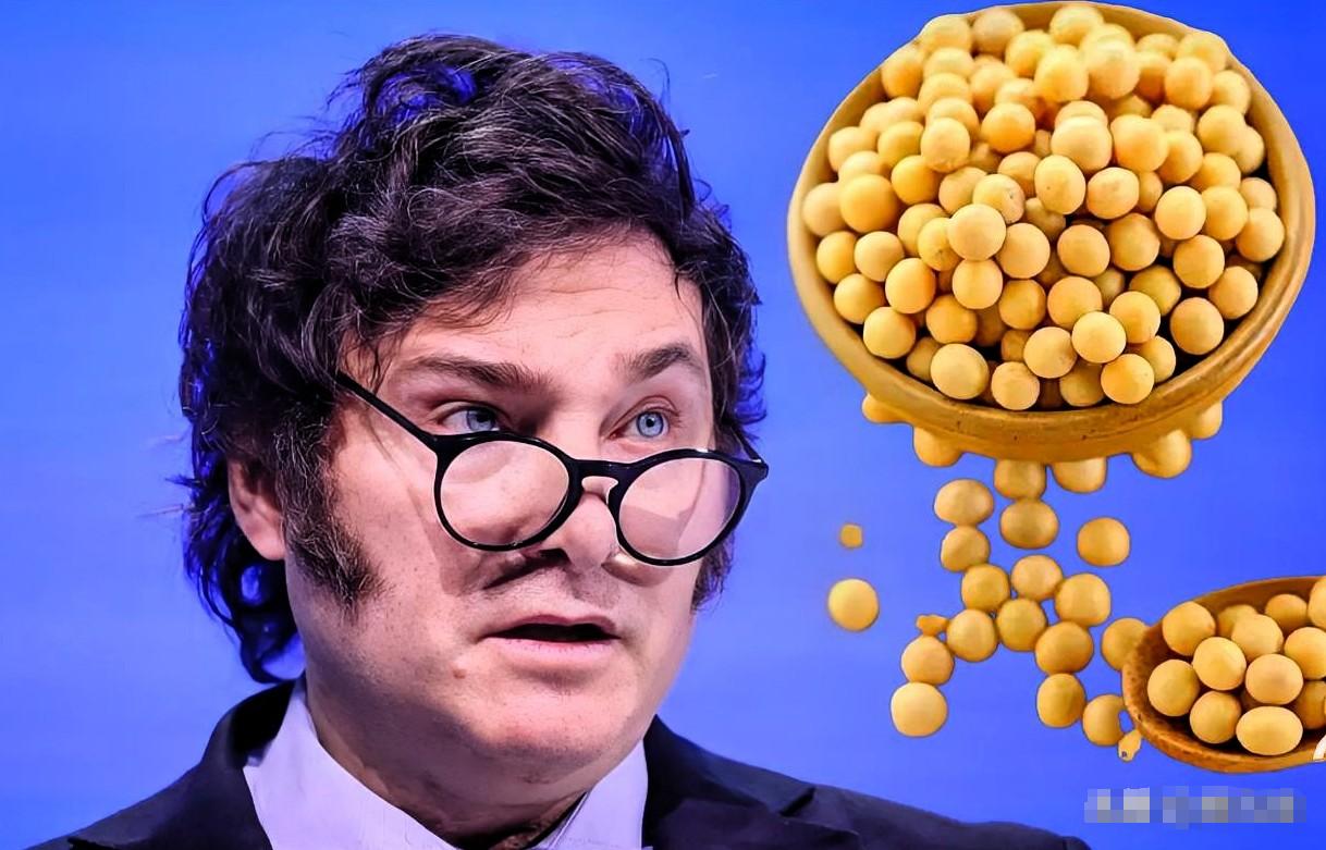 .螳螂捕蝉
黄雀在后！
 
巴西大豆突然涨价12%，直接从580美元/吨飙到65