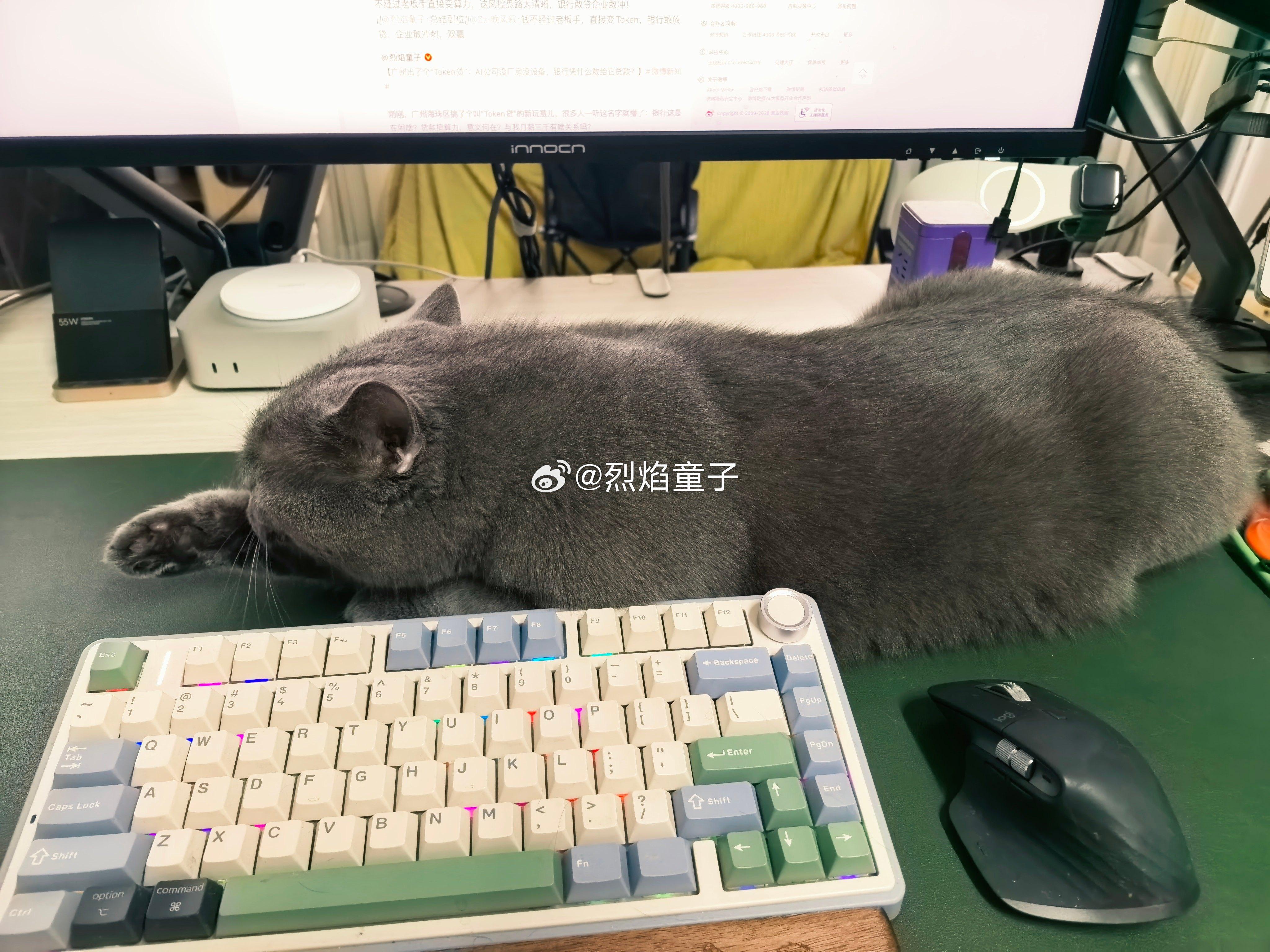 人家干活儿他搁这舔毛，也是醉了 