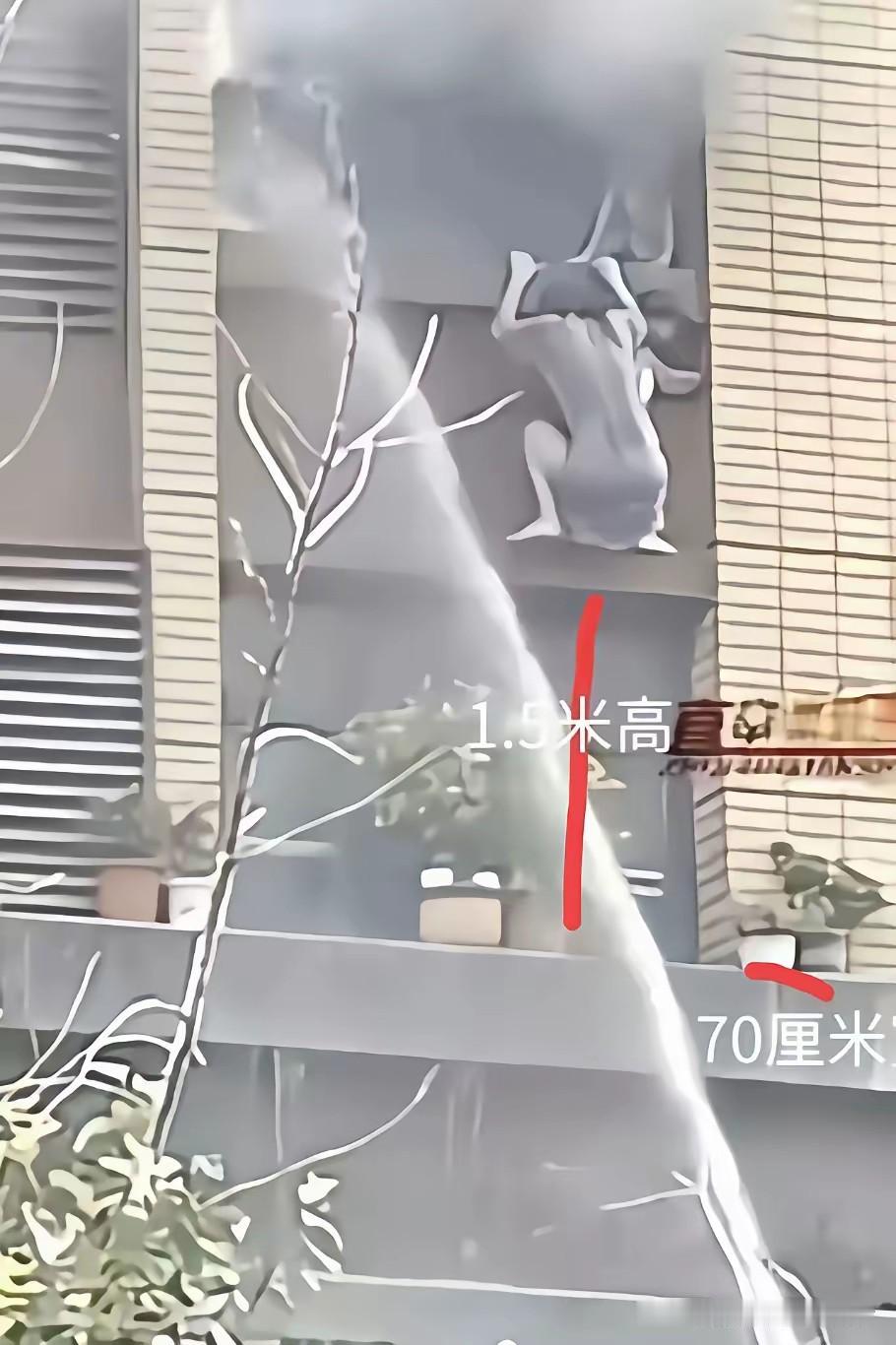 从目测来看三楼飘窗放着几盆花的位置来看，还是有70厘米宽的。
这时候如果有人从三