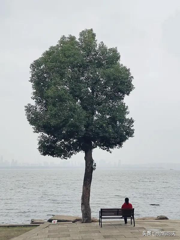 解决孤独的良方
因人而异
有人觉得社交是解药
参加派对、俱乐部
与人建立联系
分