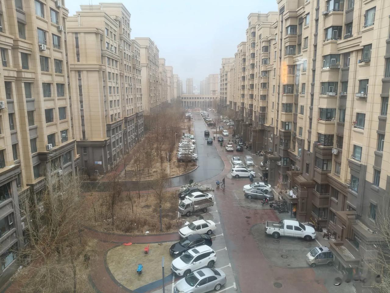 昨天下午，白城下了不小的雨。天气预报真准。透过颐年养老院的东窗，能看到新城家园小