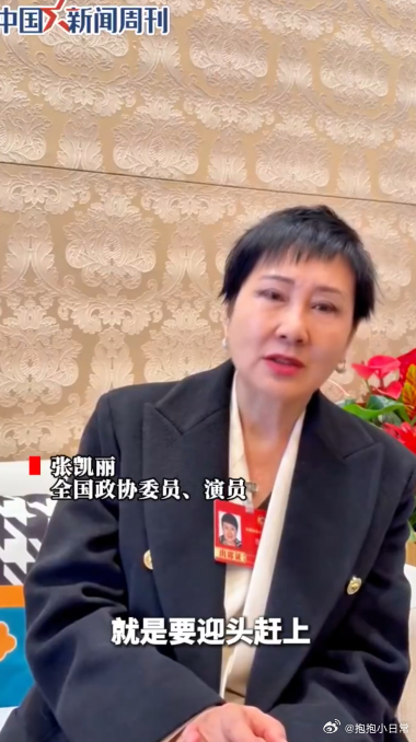 张凯丽说短视频不会毁掉一代人张凯丽称禁止未成年用网是因噎废食 非常认同张凯丽的看