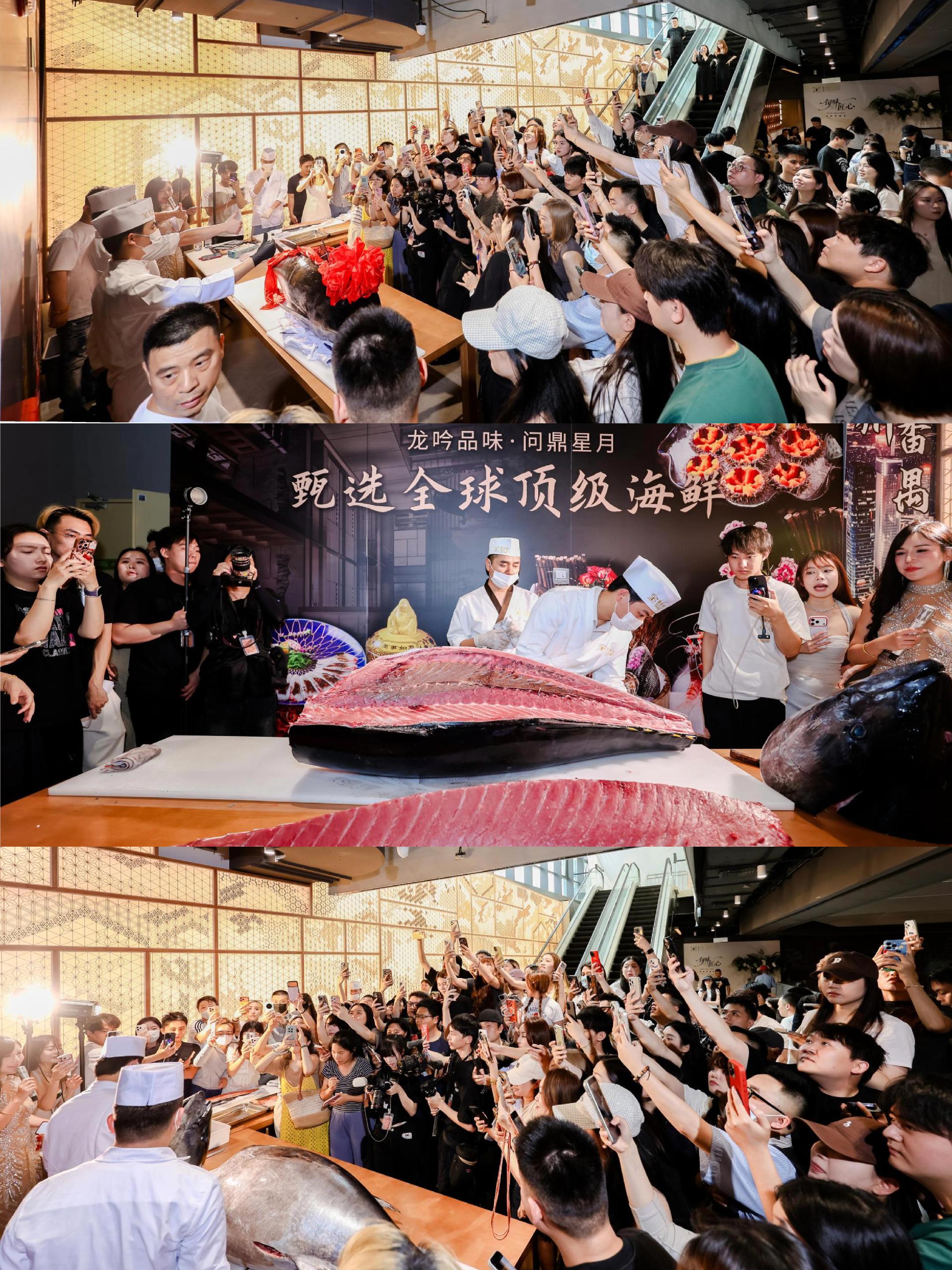 震撼！300斤金枪鱼现场切，番禺也有了！ 正文： 有幸成为星龙吟番禺店...