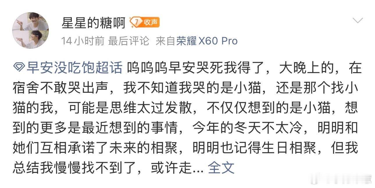 原来早安的新歌是写给流浪猫的 我宣布《踏雪》是年度最催泪歌曲，早安用流浪猫的视角