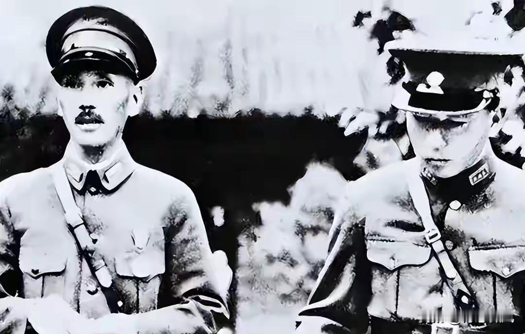 张学良被问：毛泽东到底哪里厉害？他沉默良久，只说了一句话
 
1991年，美国纽