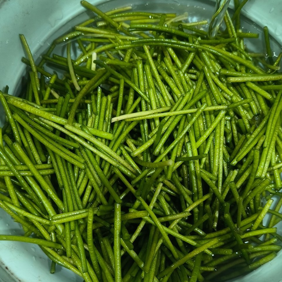 我爱水莲
