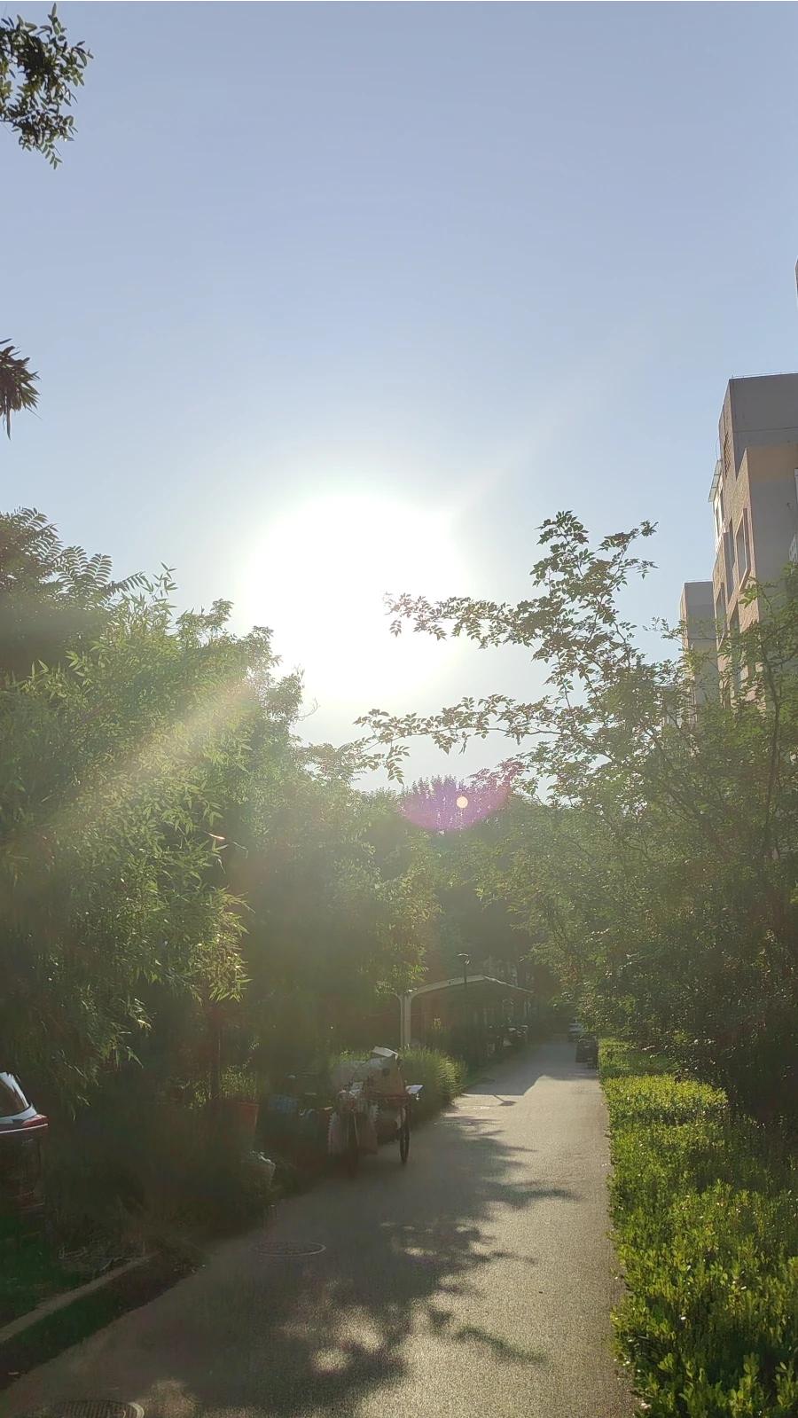 若条件允许，回老家生活无疑是一场回归本真的自我救赎。故乡的慢节奏与熟悉的人间烟火