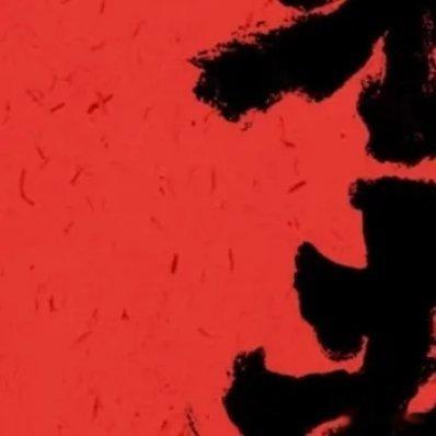 《痊愈》那些放飞的鸽子我用意念击落它们死去吧虚伪的谎言没有必要咒骂鸽子折掉翅膀坠
