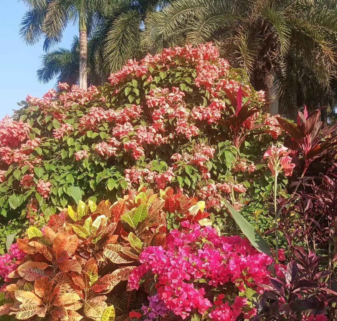 中老年妇女千万不能犯这种错误。一女子，49岁，离异单身，找了一个同村的50多岁有