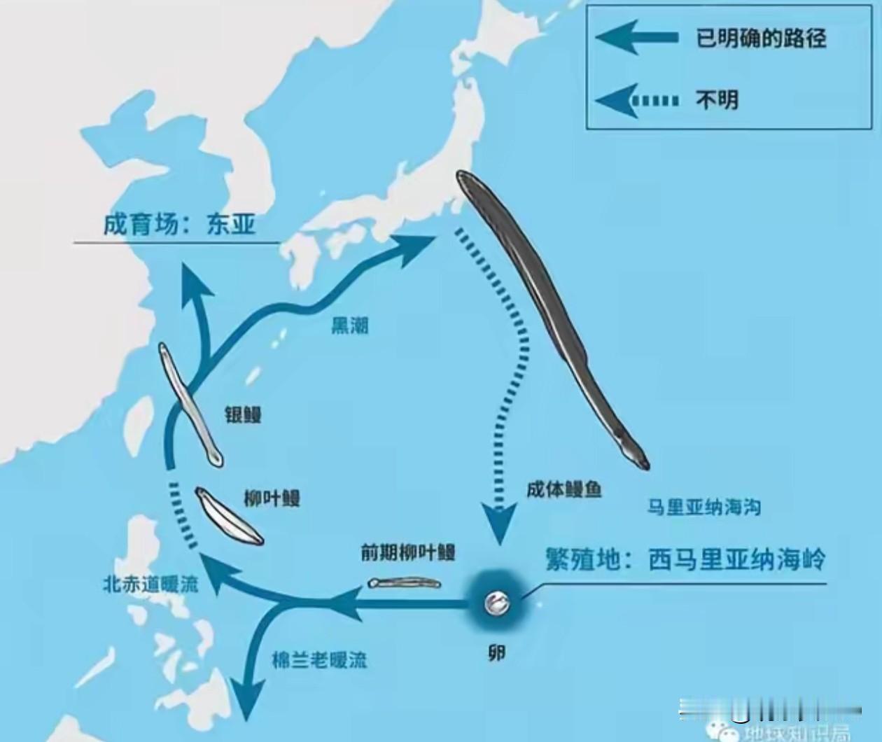 中国科研真牛！困扰全球的“水中软黄金”繁育难题，被咱们一举拿下了！

说个热知识