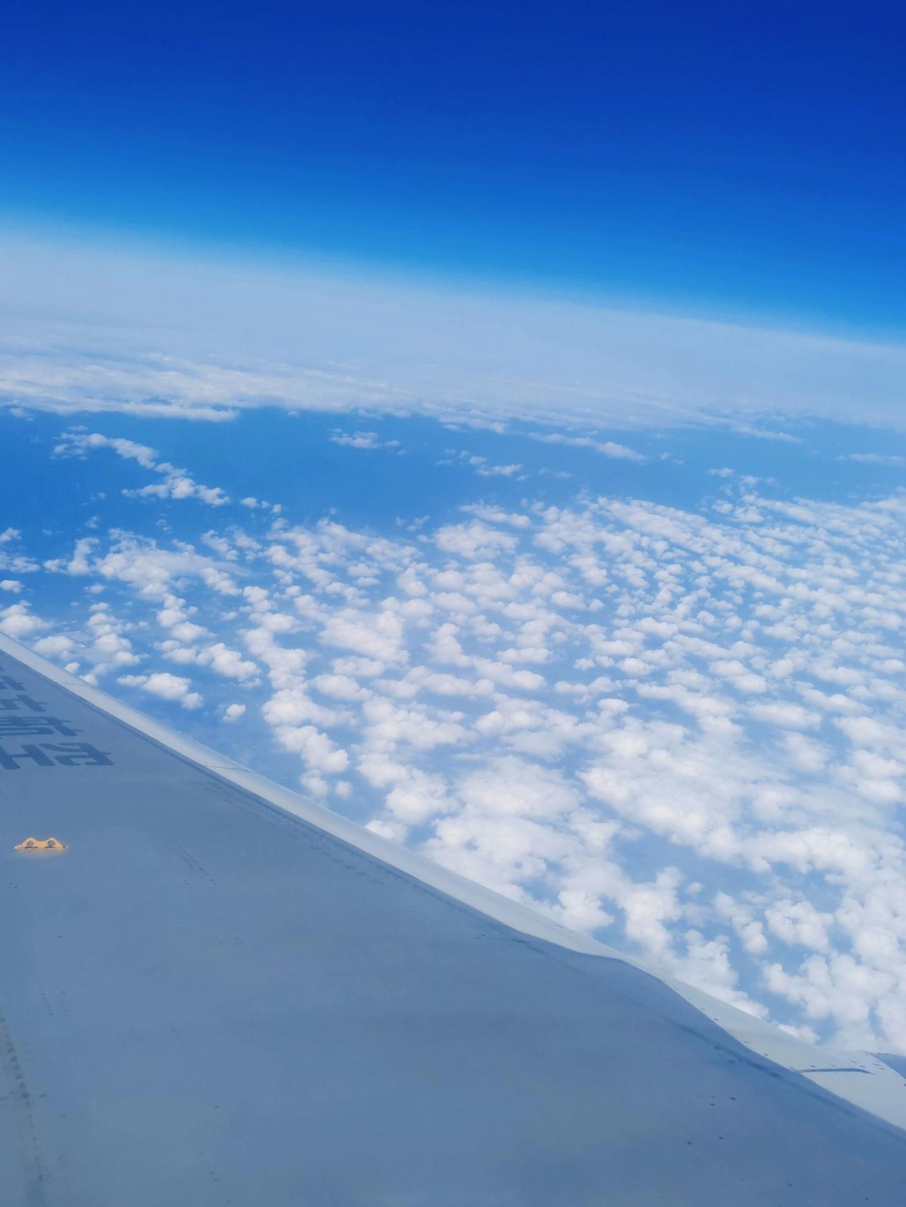 我的世界在更广阔的天空🐾