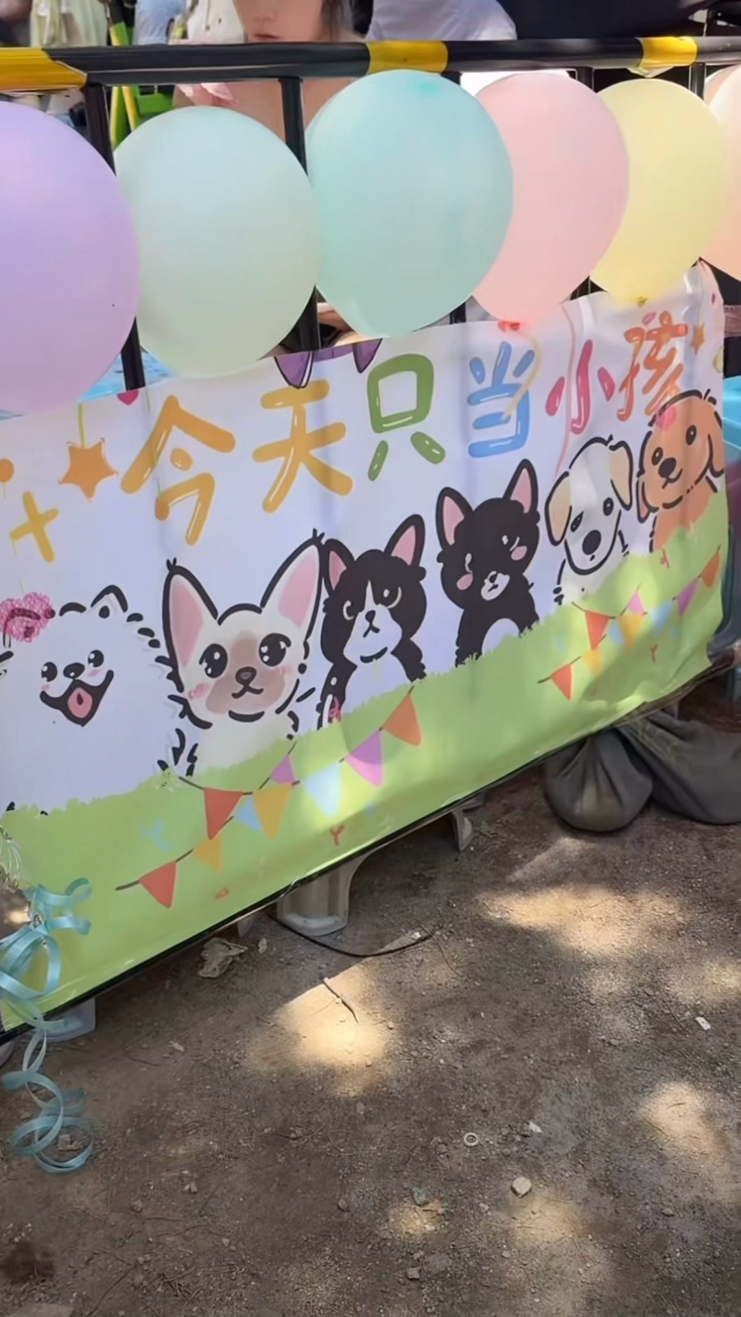 棠棠给兮兮准备的六一节限定兮棠乐园真的太可爱了 ，今天只当小孩！