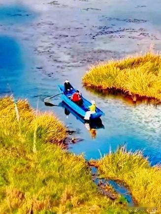 春游泸沽湖
湖水蓝蓝

小舟在湖中游
岸边黄色的芦苇

构成了一幅美的画
心情美