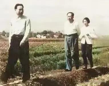 红太阳照耀在农田里！