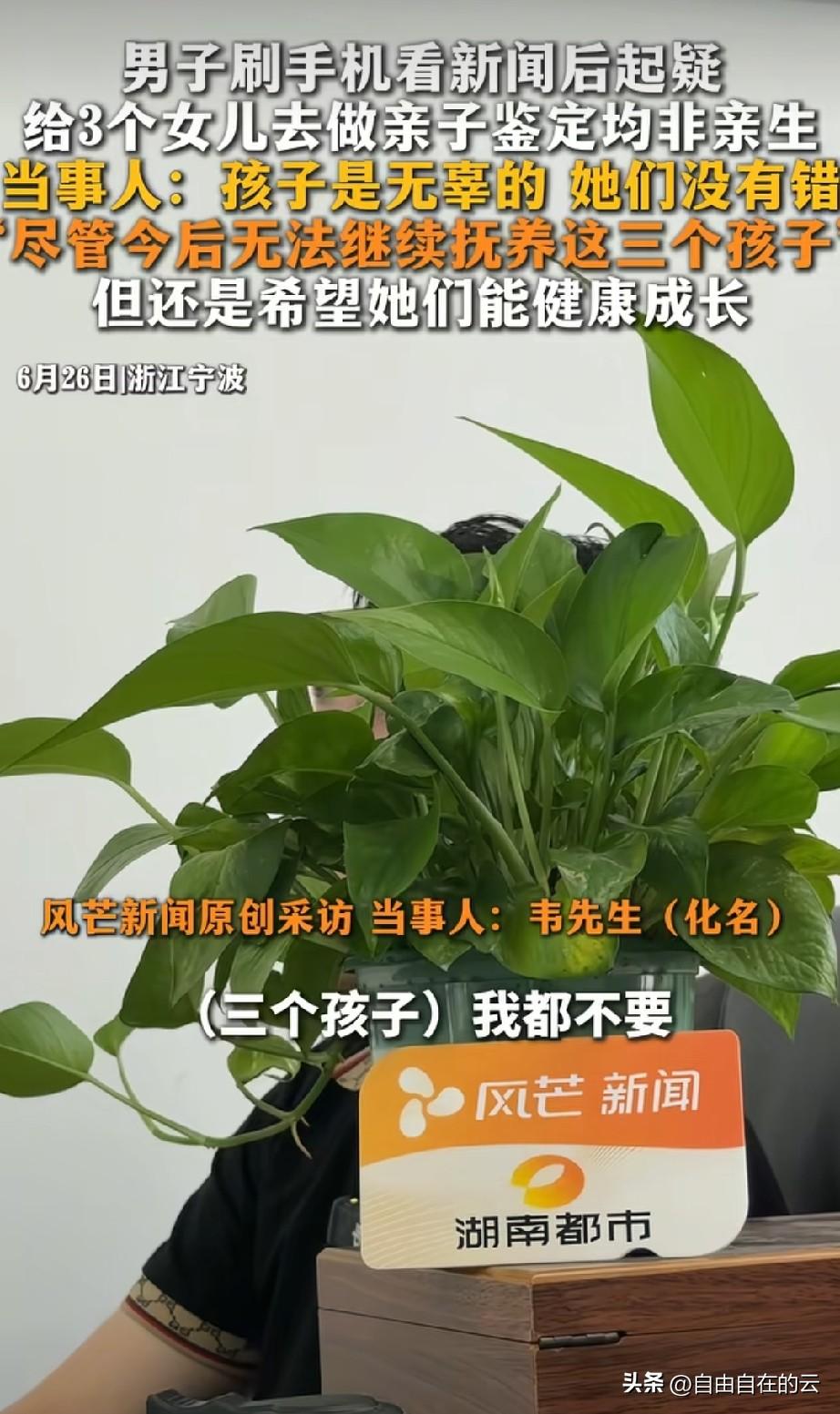 陕西的卢先生做亲子鉴定，三个孩子都不是他的，他说怀疑过那对小的双胞胎不是他的，没