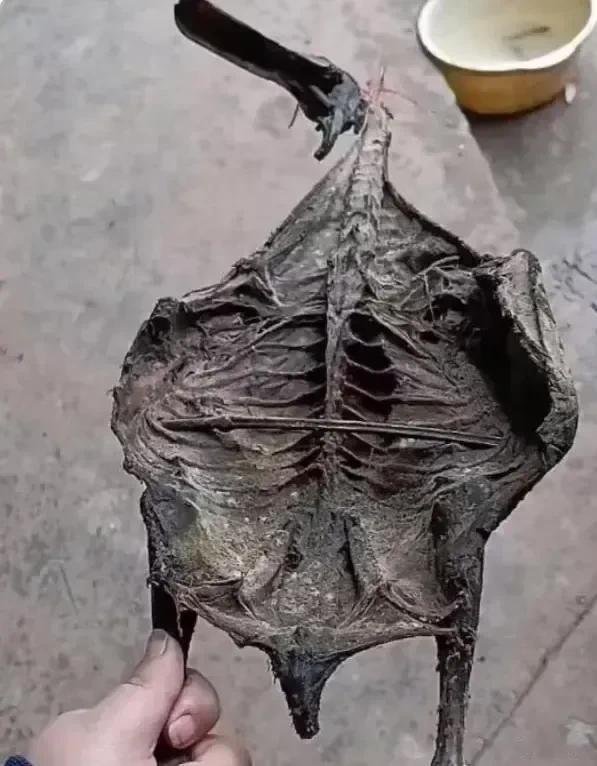 有朋自远方来，不亦乐乎，弄个硬菜招待[大金牙]