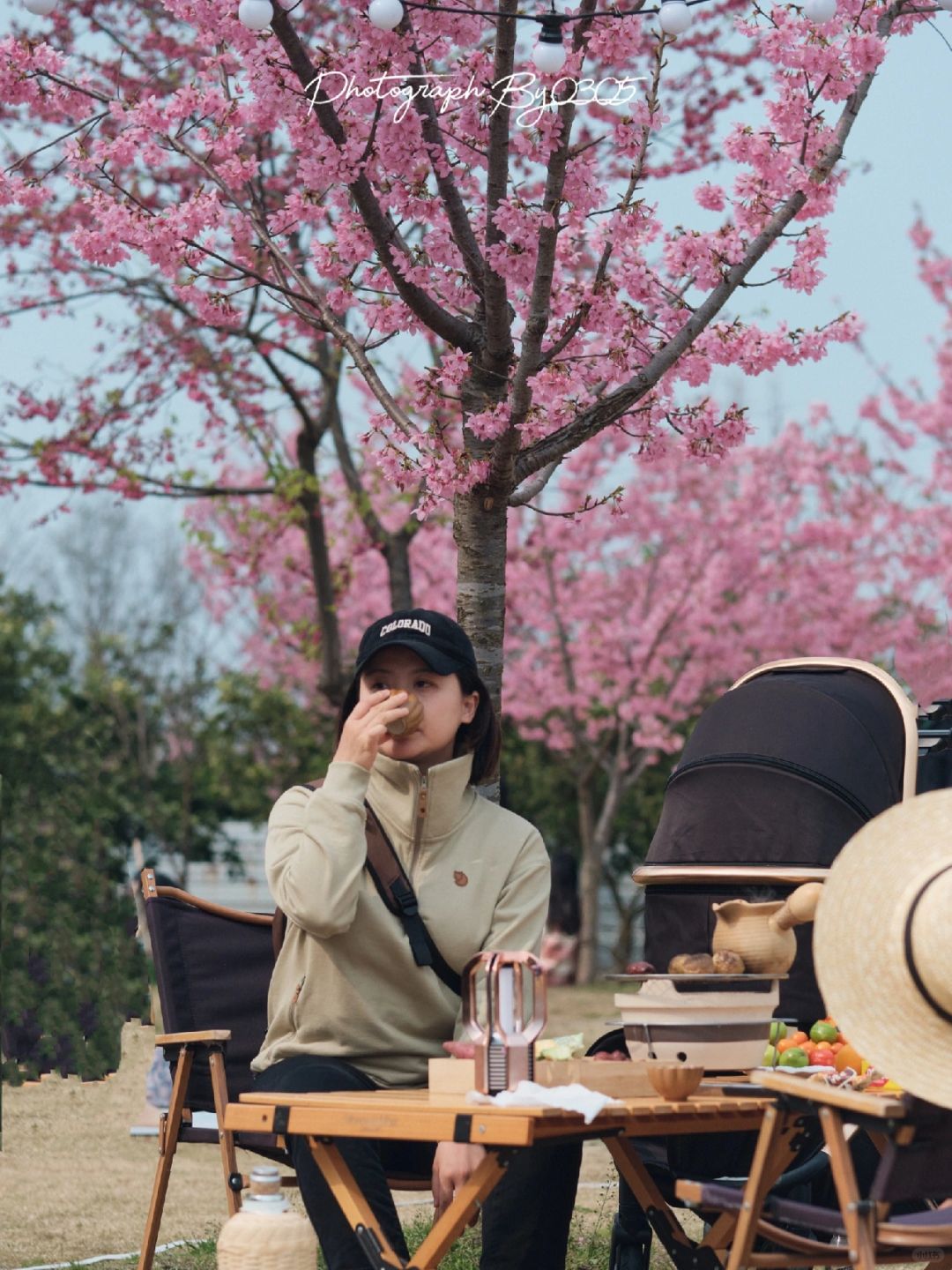 接下来的成都！🌸来这片樱花树下「喝茶赏樱」