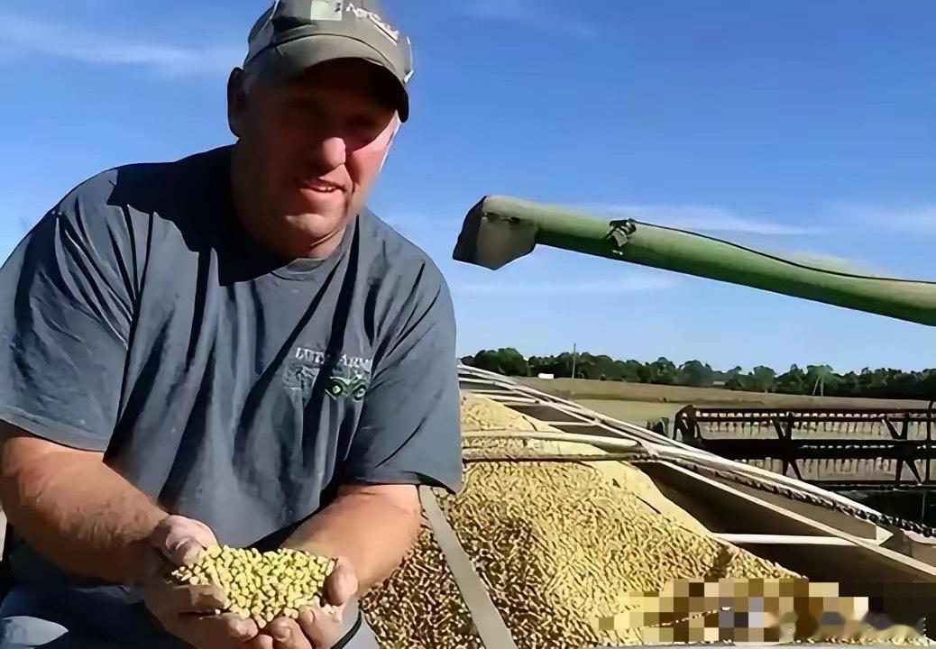 美国大豆堆积如山，中国一粒也不买，急坏美国豆农！欧洲网友支招：美国可以进行报复，