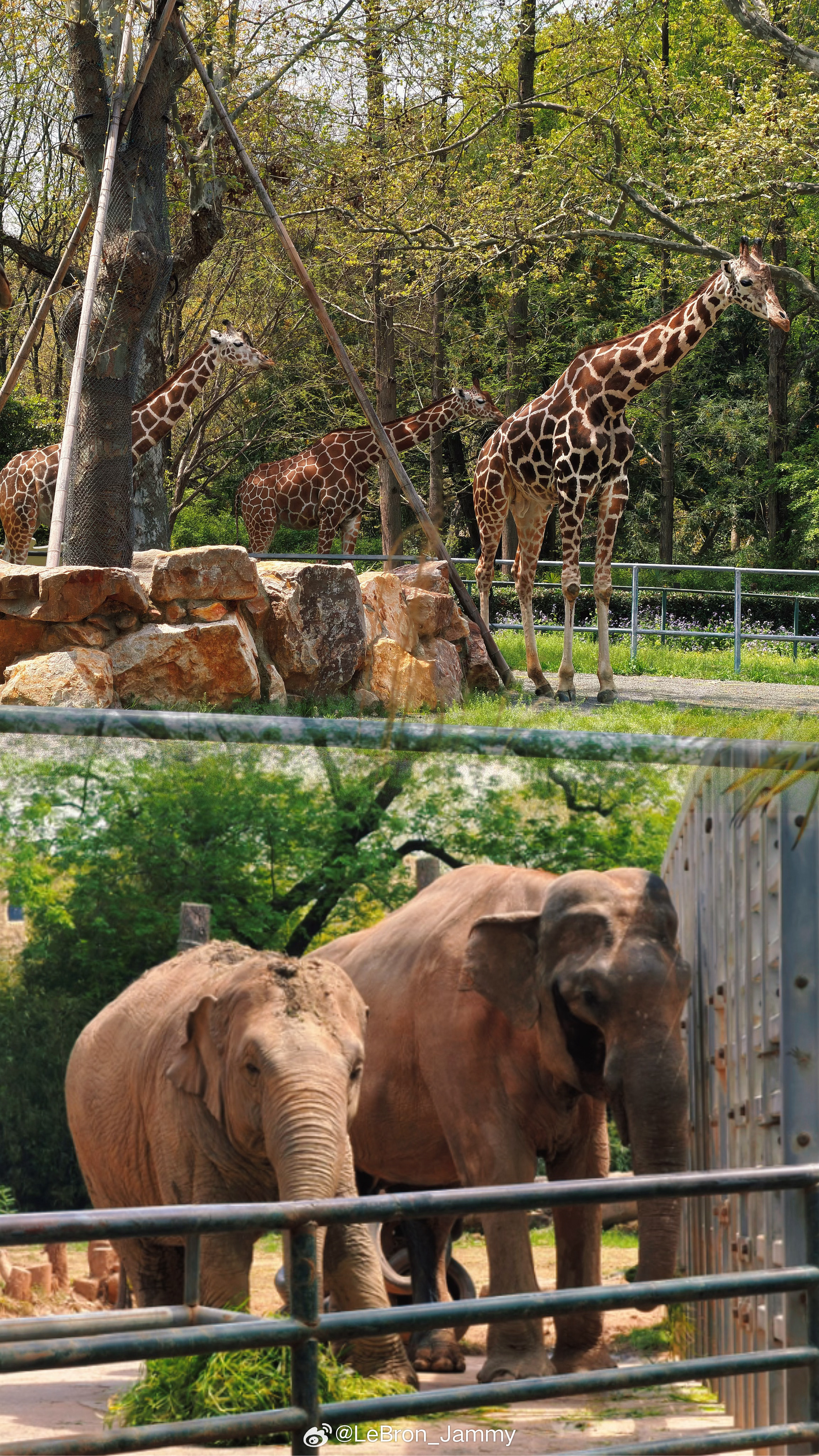 🐾 𝙕𝙤𝙤𝙤𝙤𝙤𝙤𝙤𝙤𝙤𝙤𝙤𝙤𝙤 .ᐟ.ᐟ.ᐟ 上