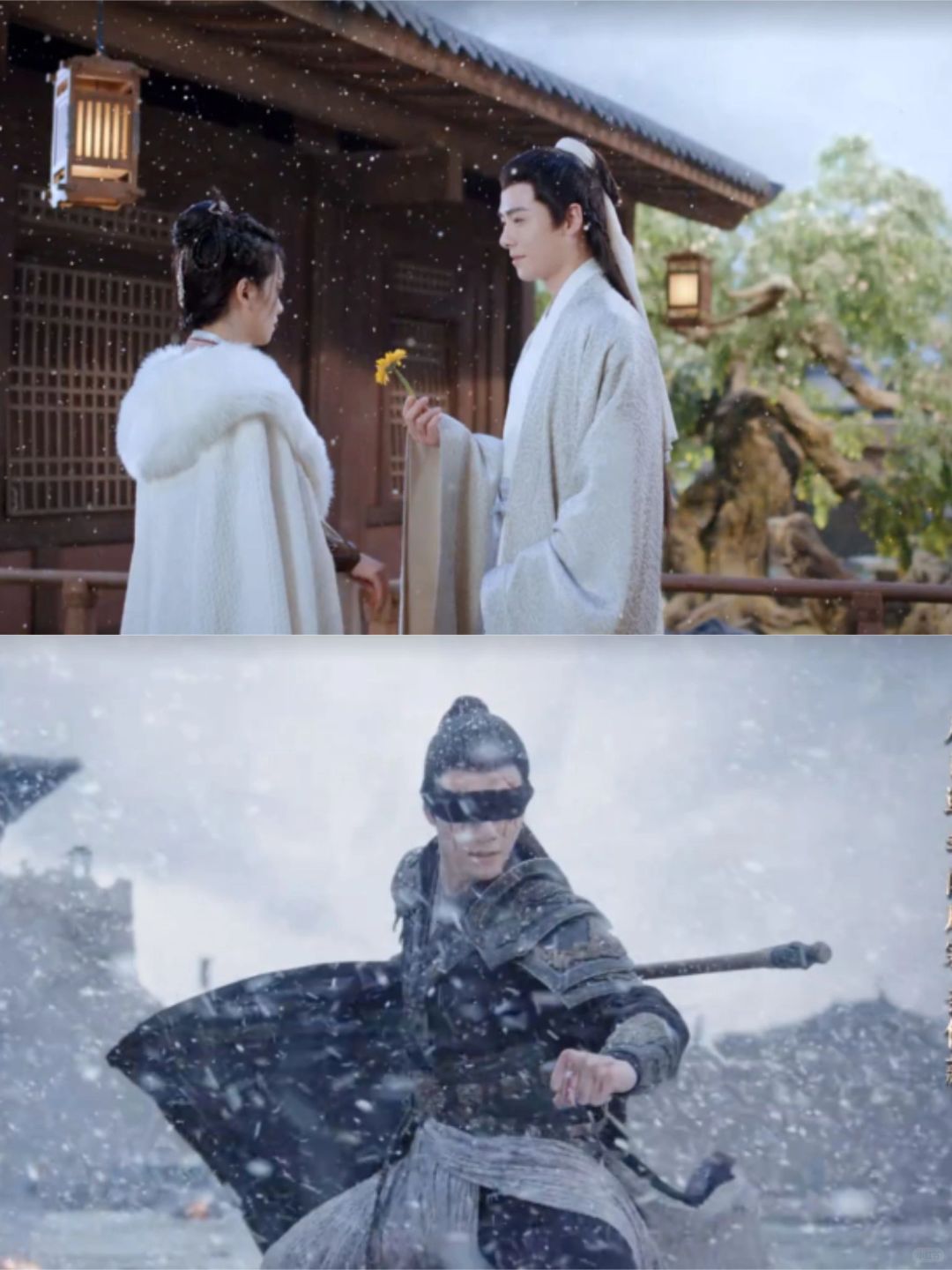 于十三送给初月的这朵花，藏着他深沉的爱