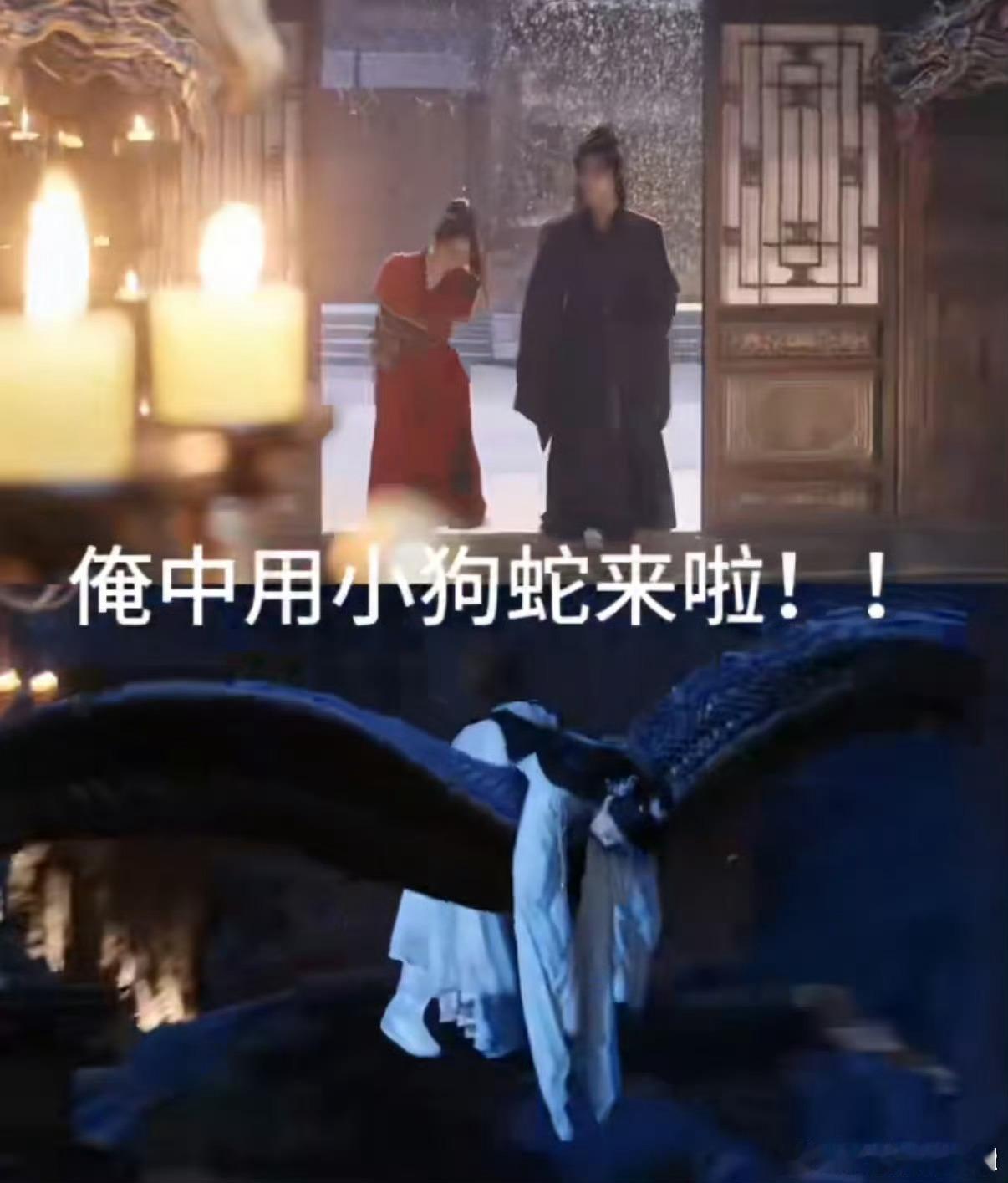 高寒黑廿九向师祖献上咸鱼黑廿九真是神助攻！带廖停雁认师祖，又找到失忆的她，促成重