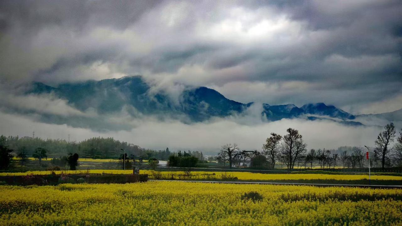 记录我的2026云雾漫过青山，油菜花铺成金色的海，远山如黛，近树含烟，春日的温柔