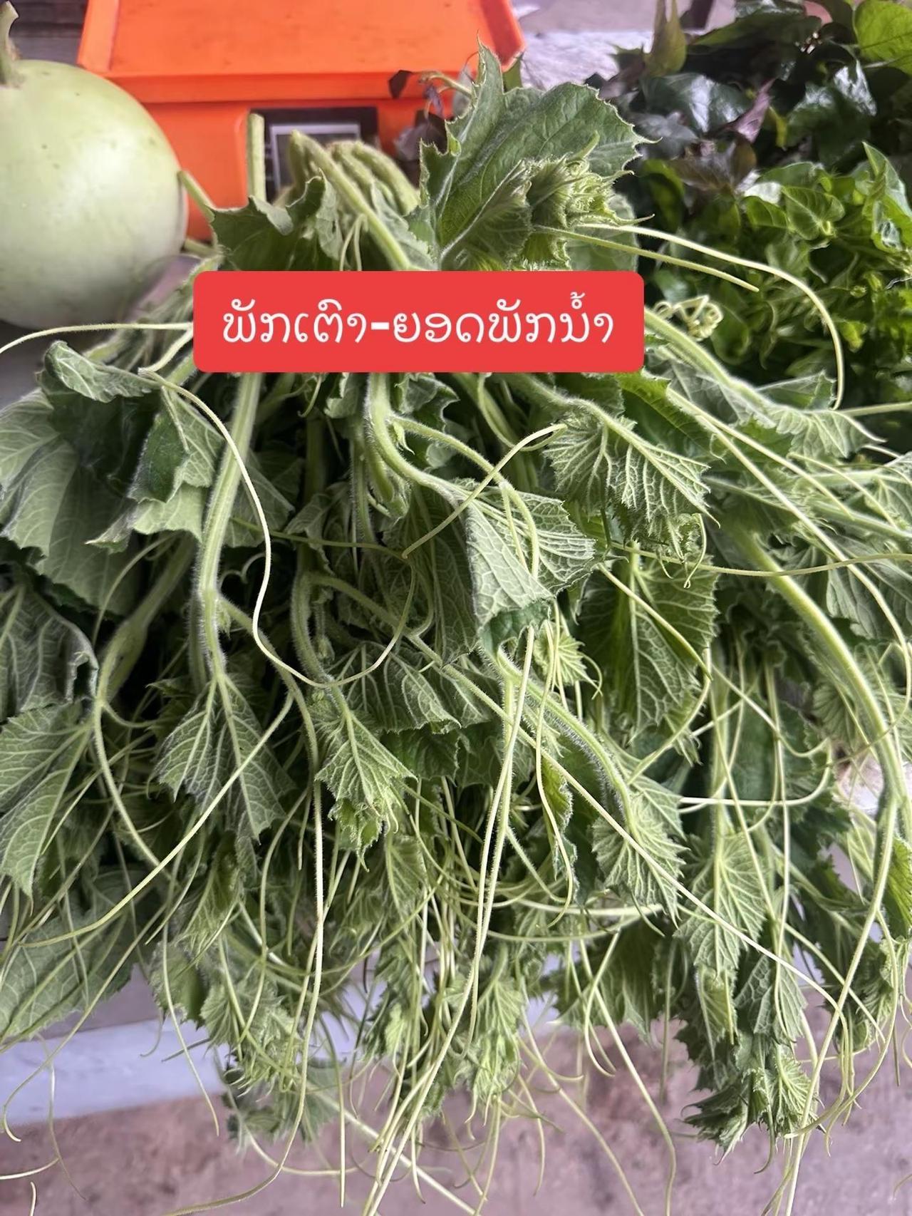 ມື້ນີ້ມີພັກເຕົ້າງາມໆນໍຂົມນໍຂາຄົບສຸດໃຜຢາກ