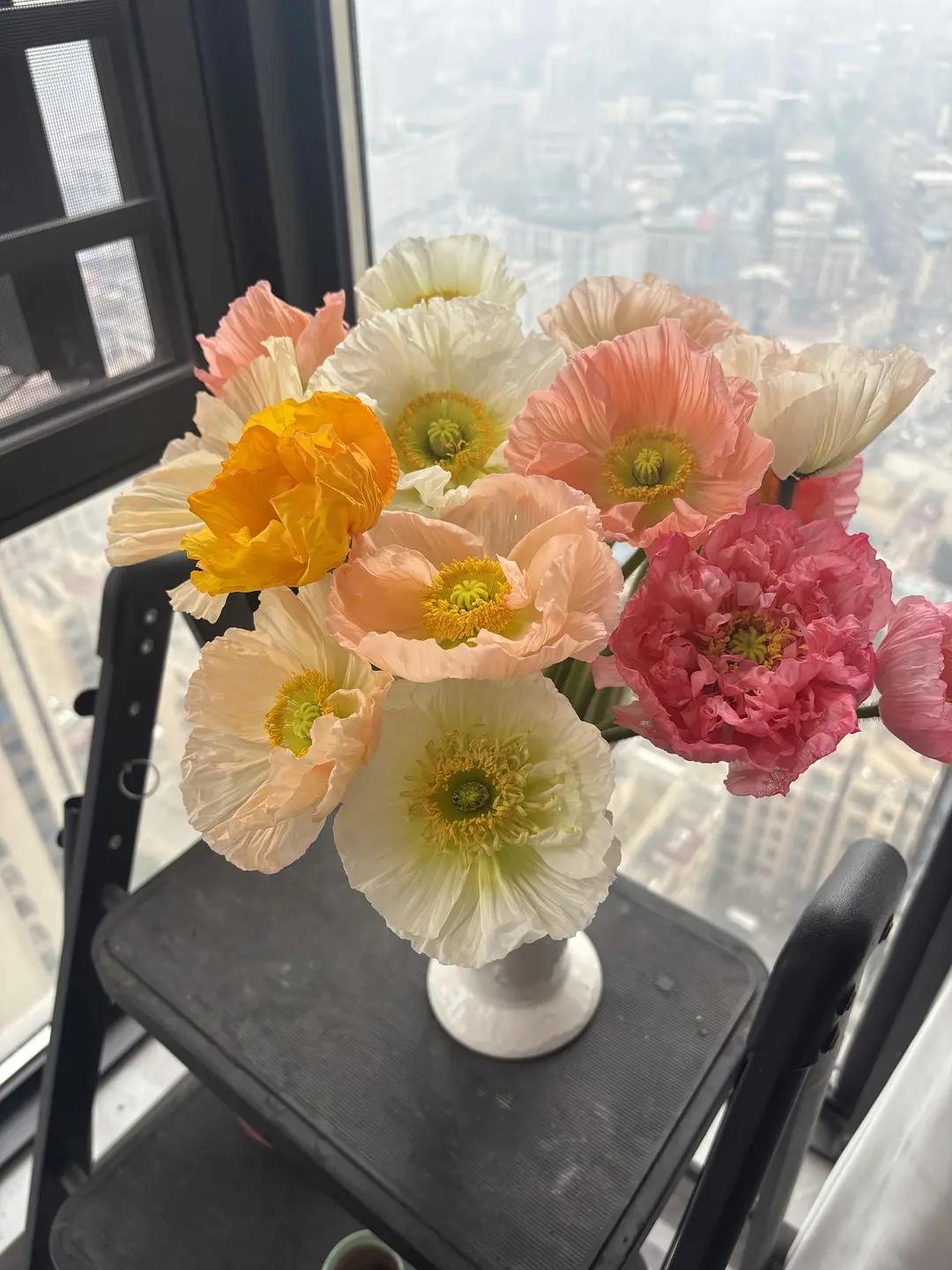 女人越穷越要知道的：

1.去医院看病，穿的越好花的越多穿的越破烂的越少，过来人