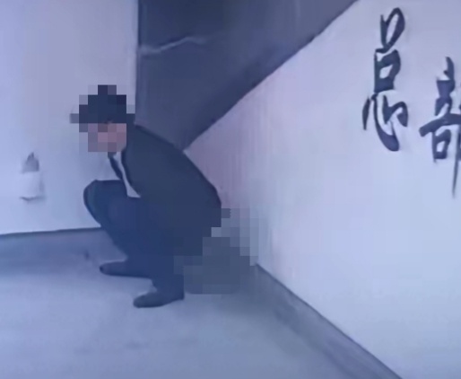 【】这两天，一段男子在广西南宁地铁站内当众大便的视频在网上流传开来，甚至出现了“