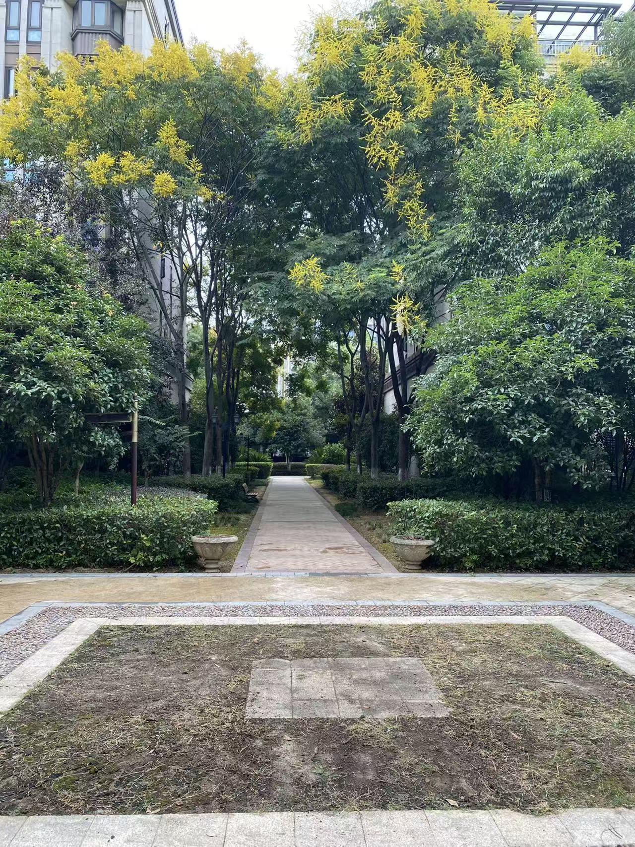 四七大剧，精彩不断，精彩分享之九十三——真诚
躺着赢凭着多套假证假话，赢了一场又