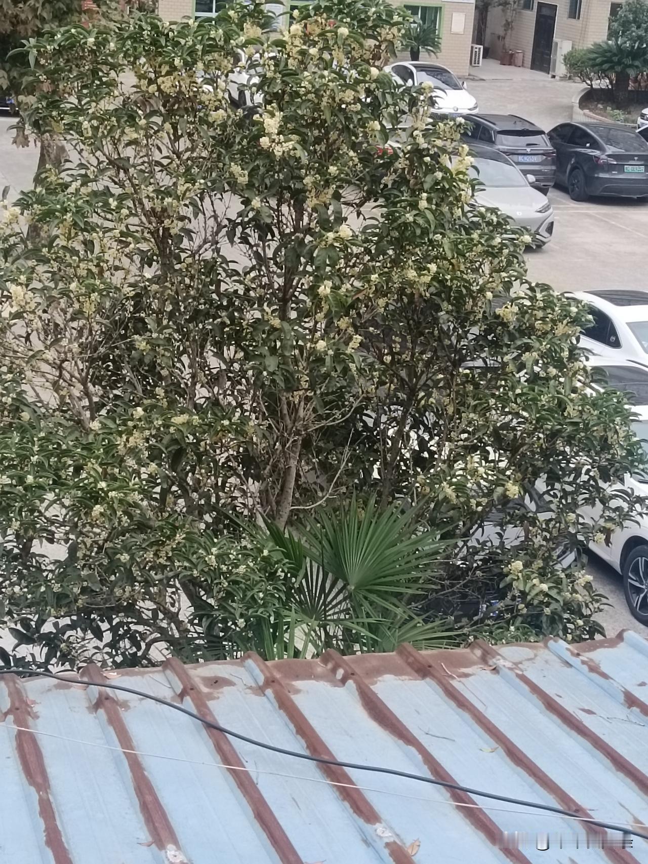 @豆包 帮我点评