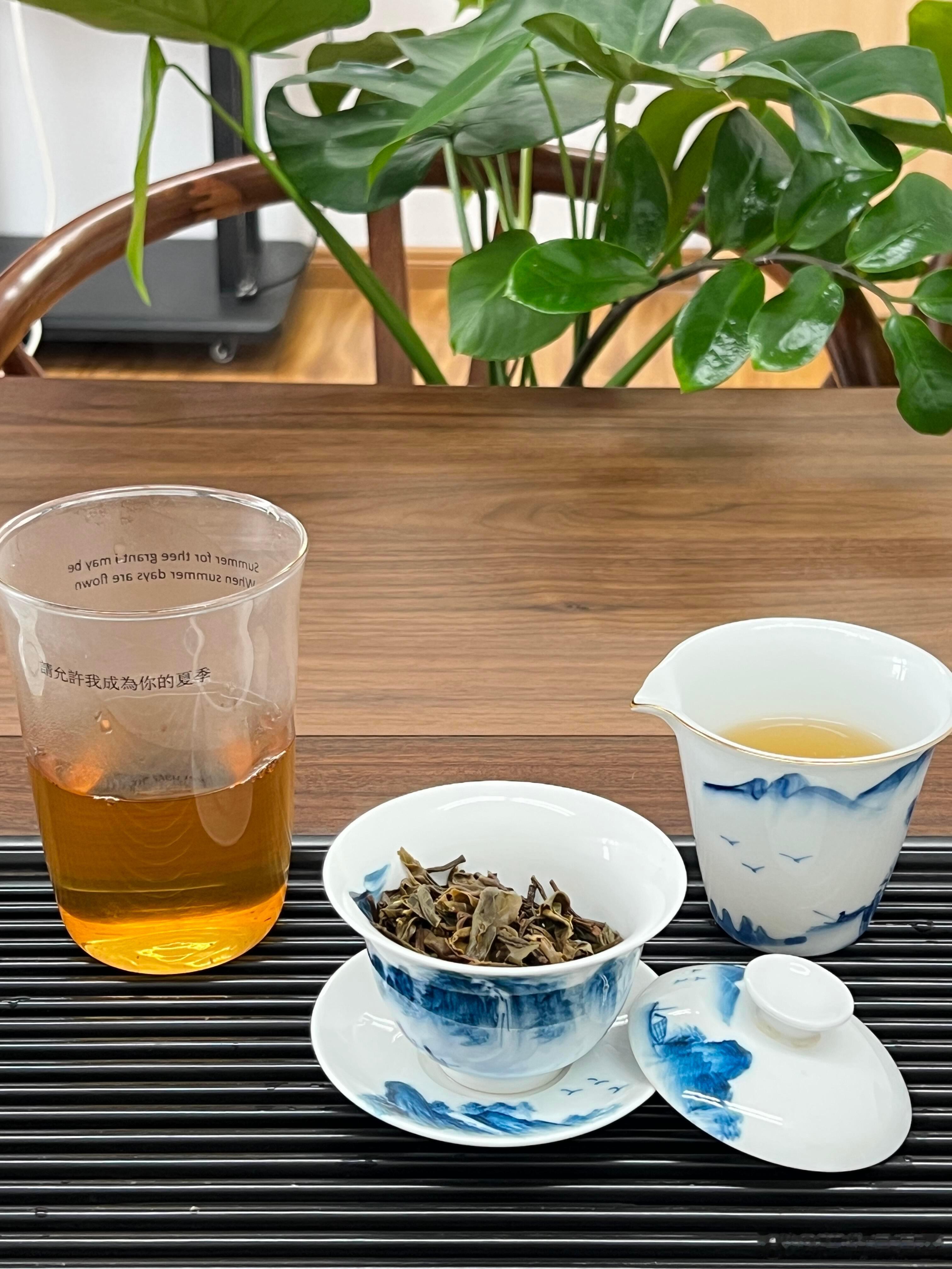 今天喝刮风寨，够野！🍵 ​​​