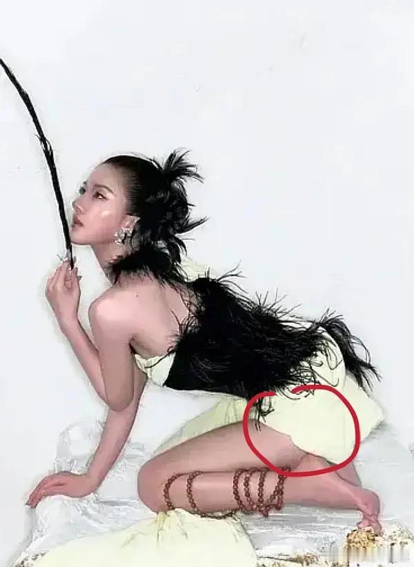 赵露思这次是不是算是p图事故了出现了两个屁股 ​​​