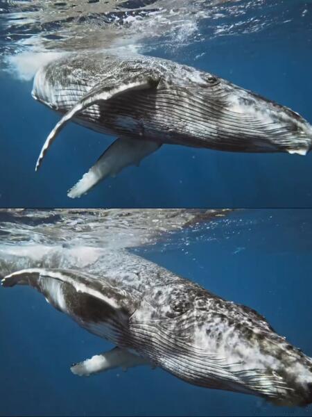 以前觉得南极远在天边，看了吴京才明白，守护它其实近在眼前，这榜样，能处！ 