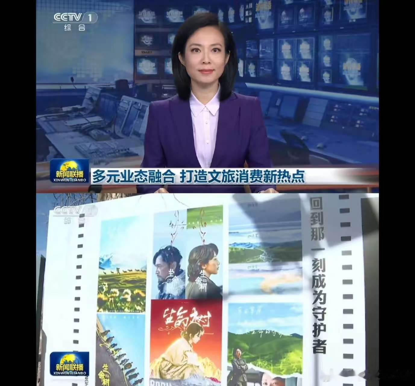 牛啊，杨紫粉丝做的生命树宣传图上新闻联播了，这是可以写进简历的成就啊。 