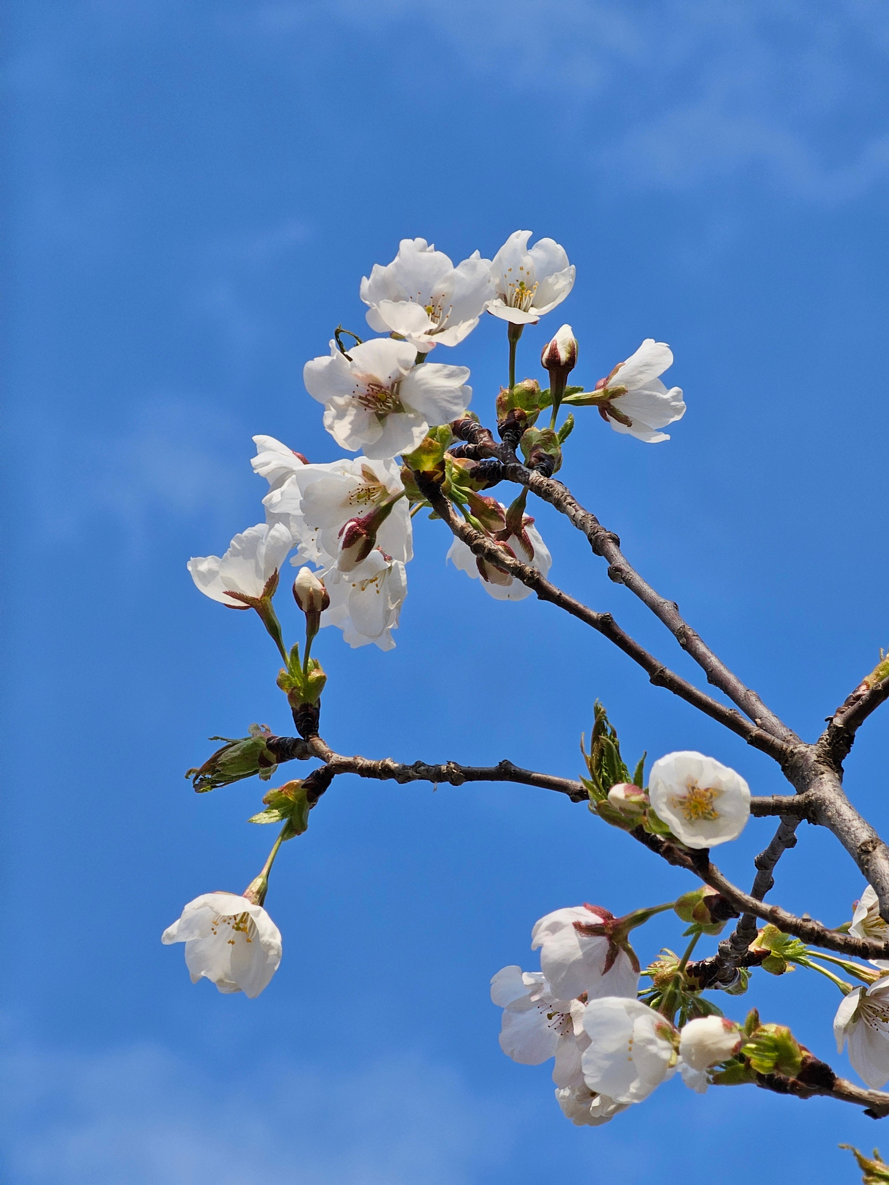3月最后一天了，出门走走 