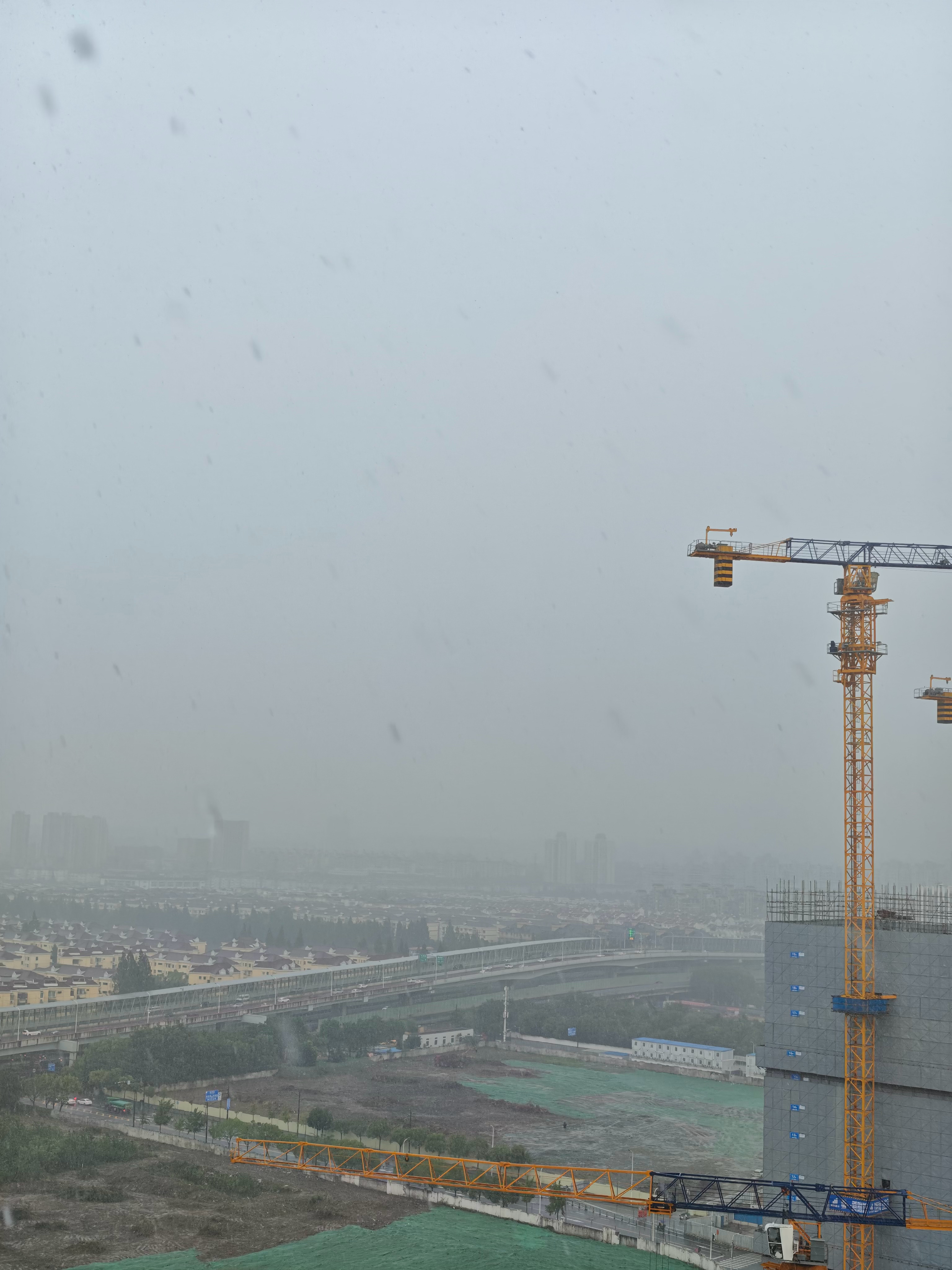 这是什么现象，达利园吗 上海