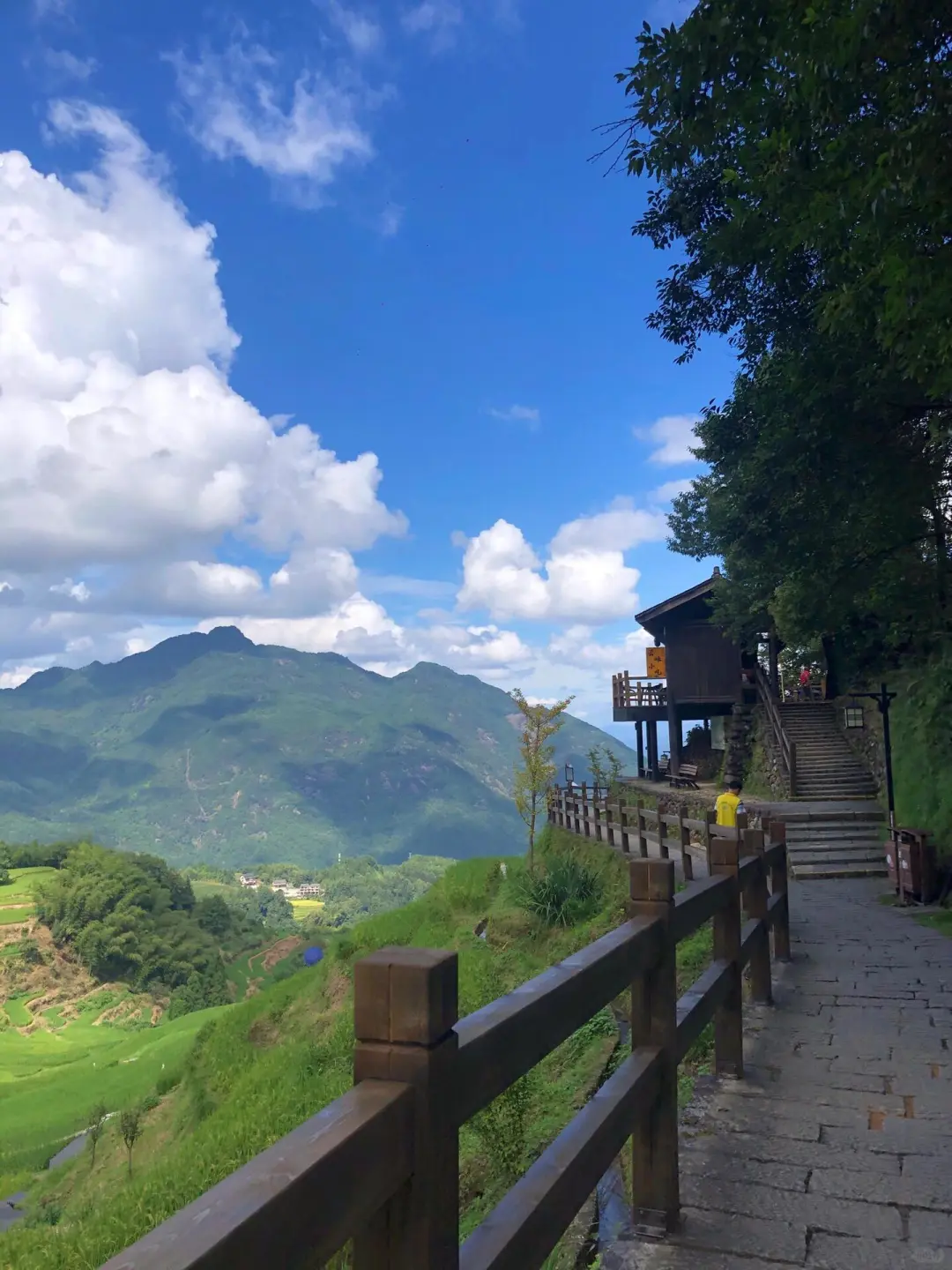 冒雨也要如约赴会丽水云和梯田🌾