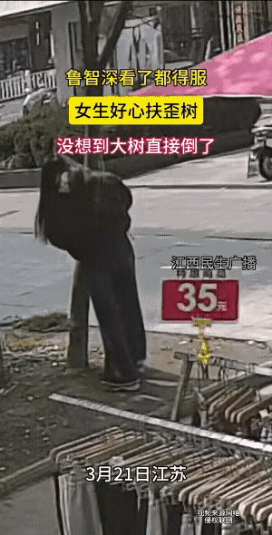 这姑娘委屈死了，本来想依靠大树好乘凉，没想到，遇到大树碰瓷了。
    可是，我