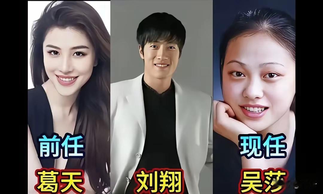 男明星的前任和现任 。林依轮的前任看起来长得更漂亮一点，但是现任我觉得气质更好一