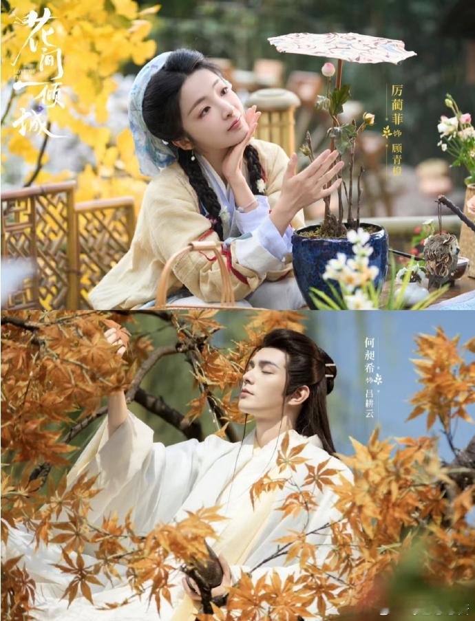 众星为何昶希新剧打call  花间一倾城在明星们为何昶希的打call下热度飙升，
