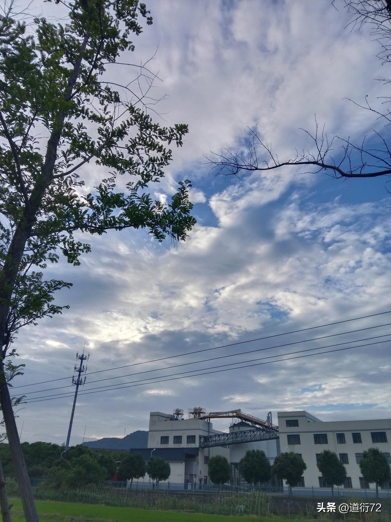 外国人又在水深火热了。这回是印度。他们的高温天气据说热死了很多人。很心疼那些在烈