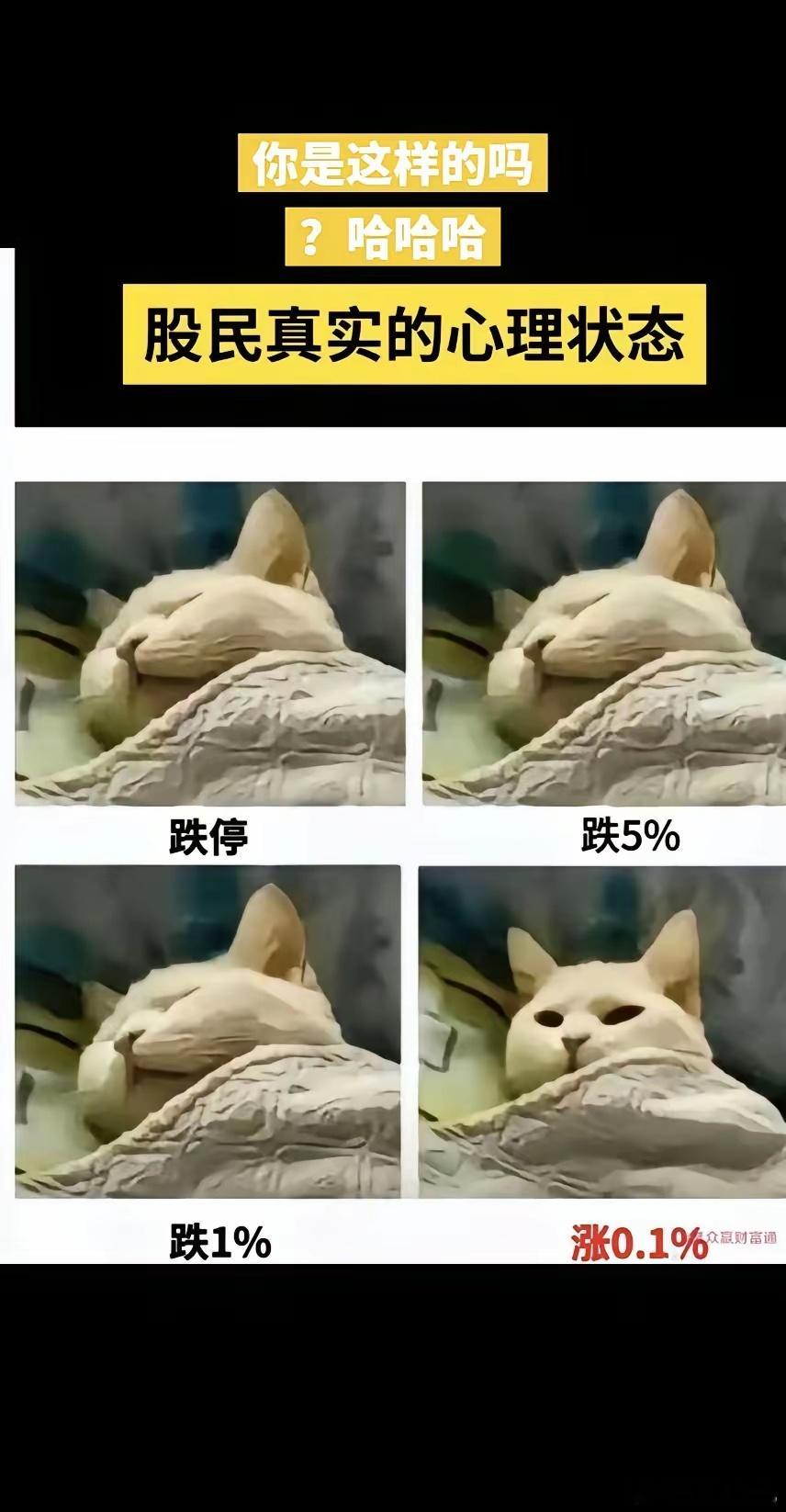 哈哈哈，太真实了，有多少股民是这样的财经﻿