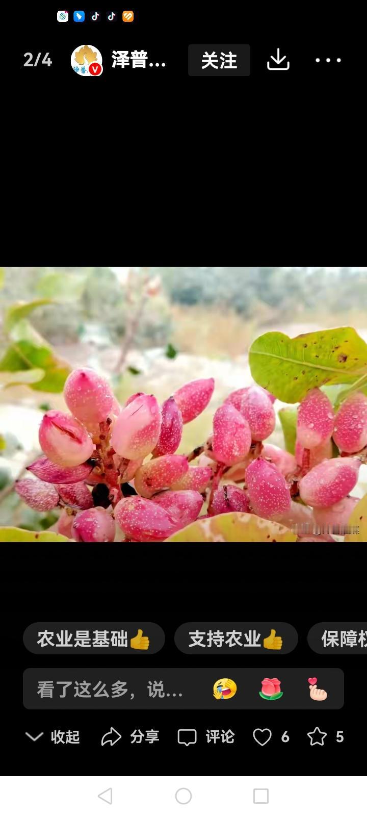领导微信名太阳你取什么能压过你想压过领导，你的工作是谁给你按排的，你拿的薪水是谁