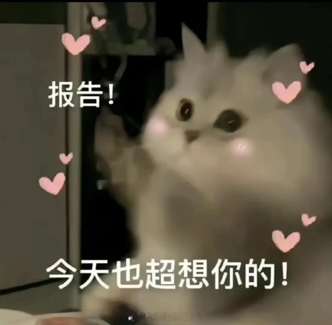 #推文[超话]# 又到了一月一度， 交出大家近期看过最佳的完结言情文和连载言情文