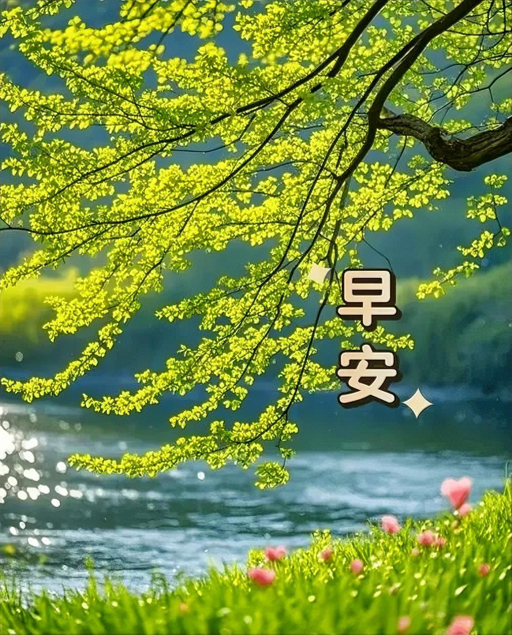早安，春风拂面来，愿你拥有这湖光春色般的美好一天。🌞🌿