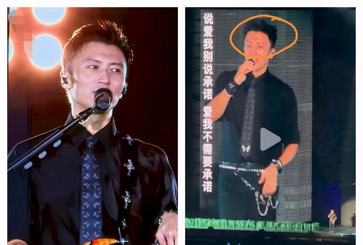 这场演唱会还没开演，就已经下起了暴雨。
等谢霆锋一开口，台下几万人的眼泪比那场雨