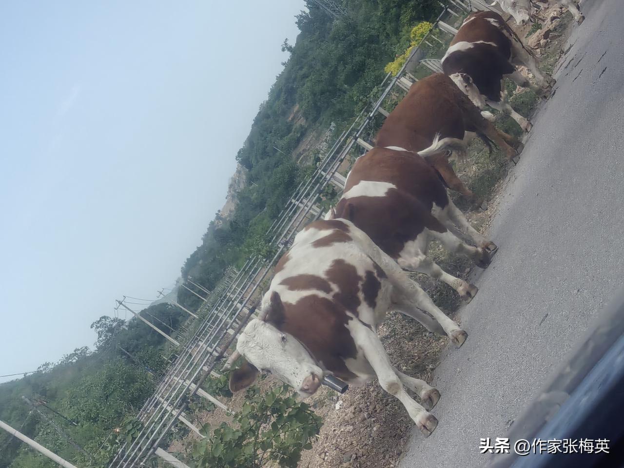 结婚15年发现丈夫给情人买了千万保险：全职太太的绝地反击

【导语】 她做了十五