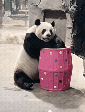 我怀疑自己得了一见灵岩就笑的病，并且此病无药可解，你说气不气人[偷笑]
灵岩是我